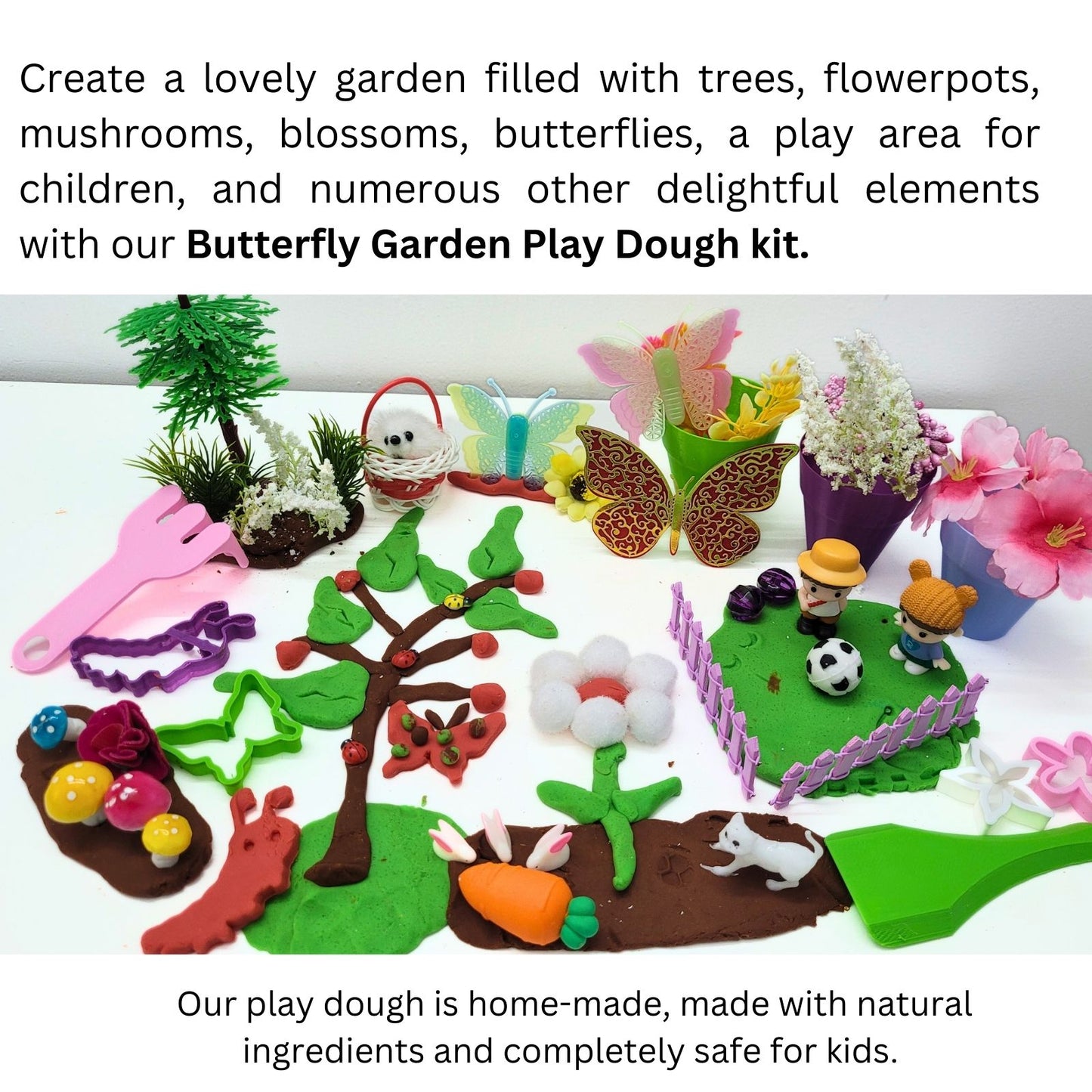 Butterfly Garden Play Dough Kit
